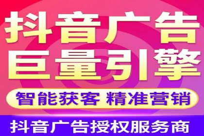 SEM公司案例研究：数据驱动营销策略